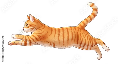 An orange tabby cat in mid pounce on a white background