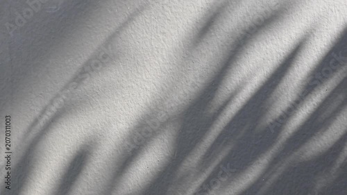 Abstract natural tree branch leaves shadow on white wall background