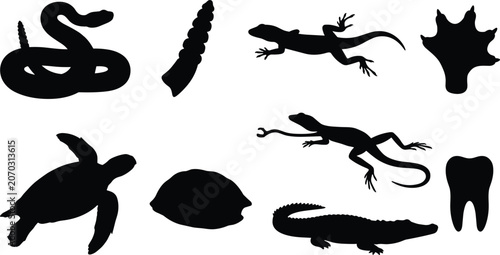 Photography Collection of reptiles and wild animals black silhouettes including snake turtle