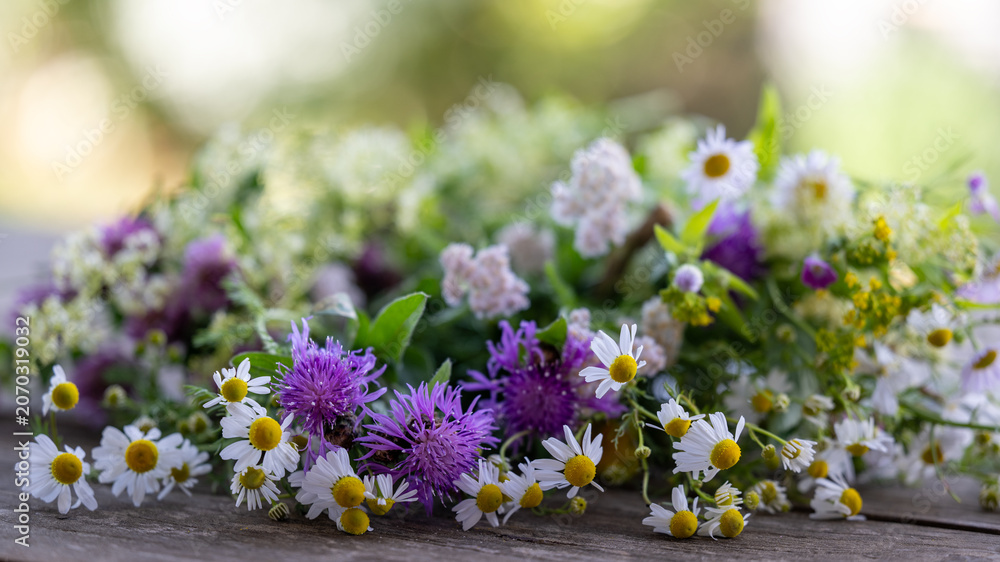 Fototapeta premium Wildblumen mit heilender Wirkung auf einem Holztisch draussen im Grünen - Naturheilkunde Hintergrund oder Banner
