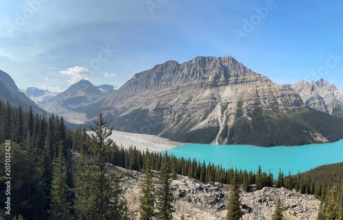 Peyto Lake Viewpoint In Banff National Park Canada