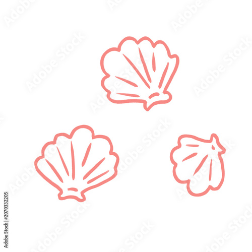 Seashell Line Art Clipart Set | Shell Outline Collection, Coastal Marine Line Art Illustrations