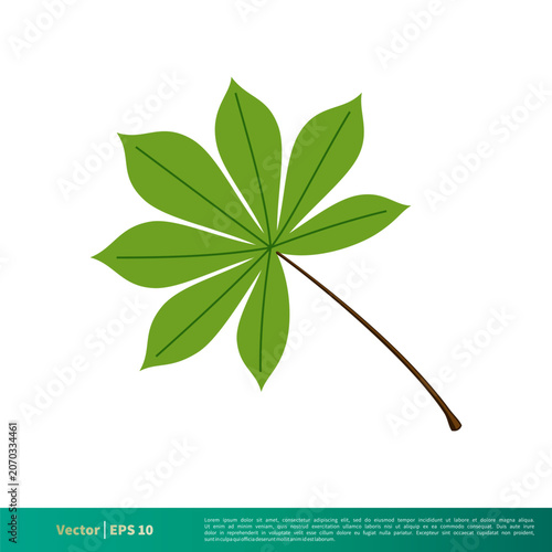Green Cassava Leaf Icon Vector Logo Template Illustration Design. Vector EPS 10.