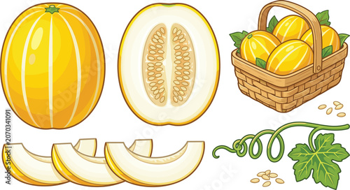 Fotografie Canary Melon Collection with Fresh Whole and Sliced Fruit Basket Seeds and Vine