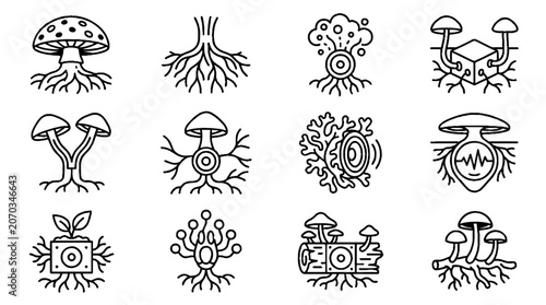 Black and white line art icons of mushrooms and mycelium root systems.