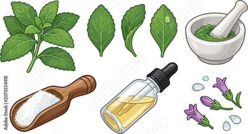 Fotografie Mint Collection with Fresh Leaves Essential Oil Herbal Extract and Aromatic Medi