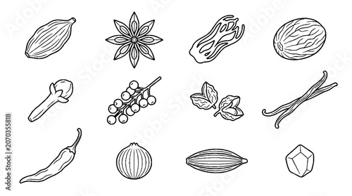 Hand drawn spice and herb collection in black and white line art style.