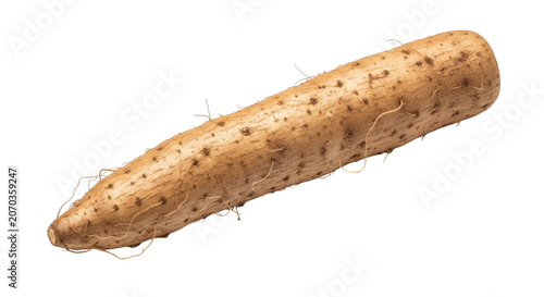Fresh organic yam root vegetable isolated for healthy eating transparent background black background
