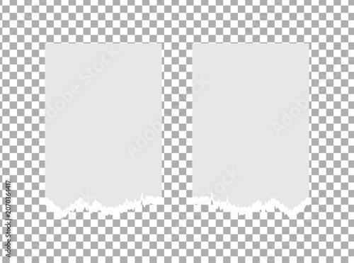 Bild auf Leinwand Vector torn paper strips for titles and headings
