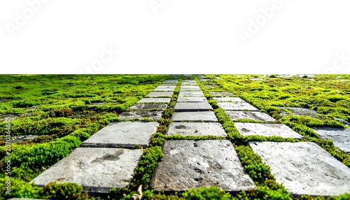 A stone path stretches toward the horizon, flanked by lush green moss. The bright white sky offers a stark contrast