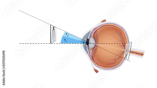 Field of View Animation Human Eye Anatomy, Peripheral and Central Vision, Visual Perception, Ophthalmology, Medical Science, 2D and 3D Educational Visualization