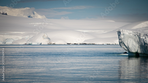 фотографія Antarctic Seascape, Tabular Iceberg, No Whale