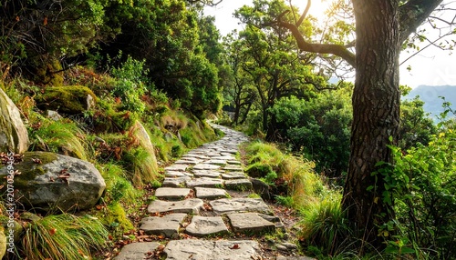 A stone path winds through a vibrant forest, sunlight filtering through the trees. Lush greenery lines the trail