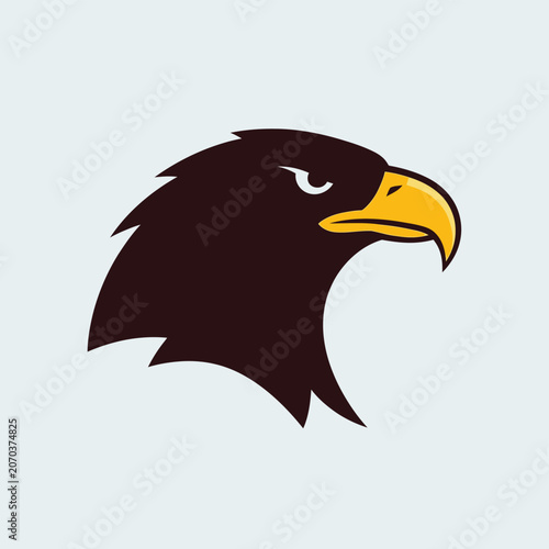 Eagle Bird Head Profile View.