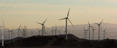 Large Wind Farm Producing Renewable Energy at Sunset