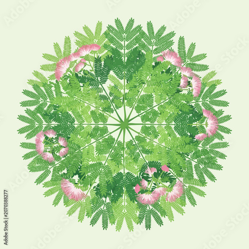 A circular floral mandala with green leaves and pink flowers