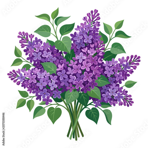 A vibrant bouquet of purple lilac flowers in bloom