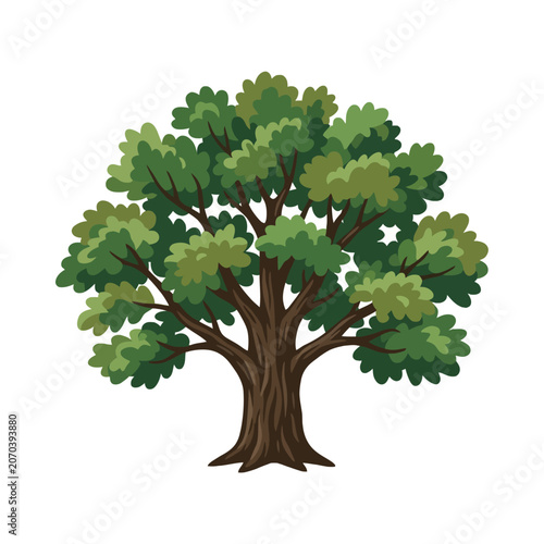 Fotografie A cartoon tree displays lush green foliage and a sturdy trunk