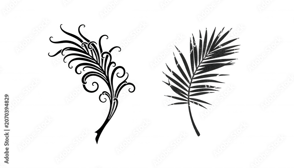 Obraz premium Two Decorative Botanical Elements a Fern and a Flourish