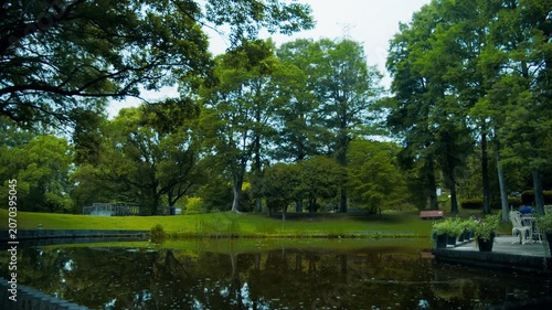 新緑に囲まれた静かな池のほとりとウッドテラスの風景 4Kシネマティック映像素材