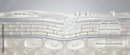Selective Nanocarrier Delivery Across Skin Barrier Surface Science