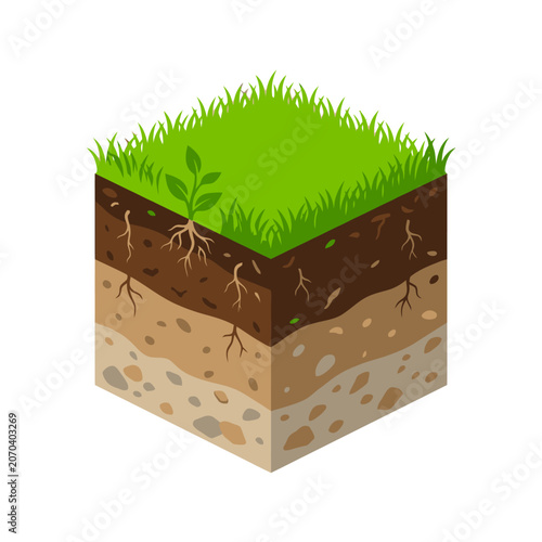Photos This is a cross-section of soil with grass and visible roots