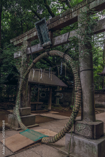 東京赤坂にある氷川神社の境内