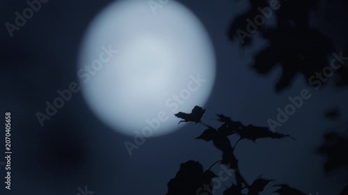 full moon in the dark night sky background