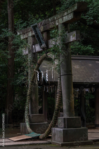 東京赤坂にある氷川神社の境内