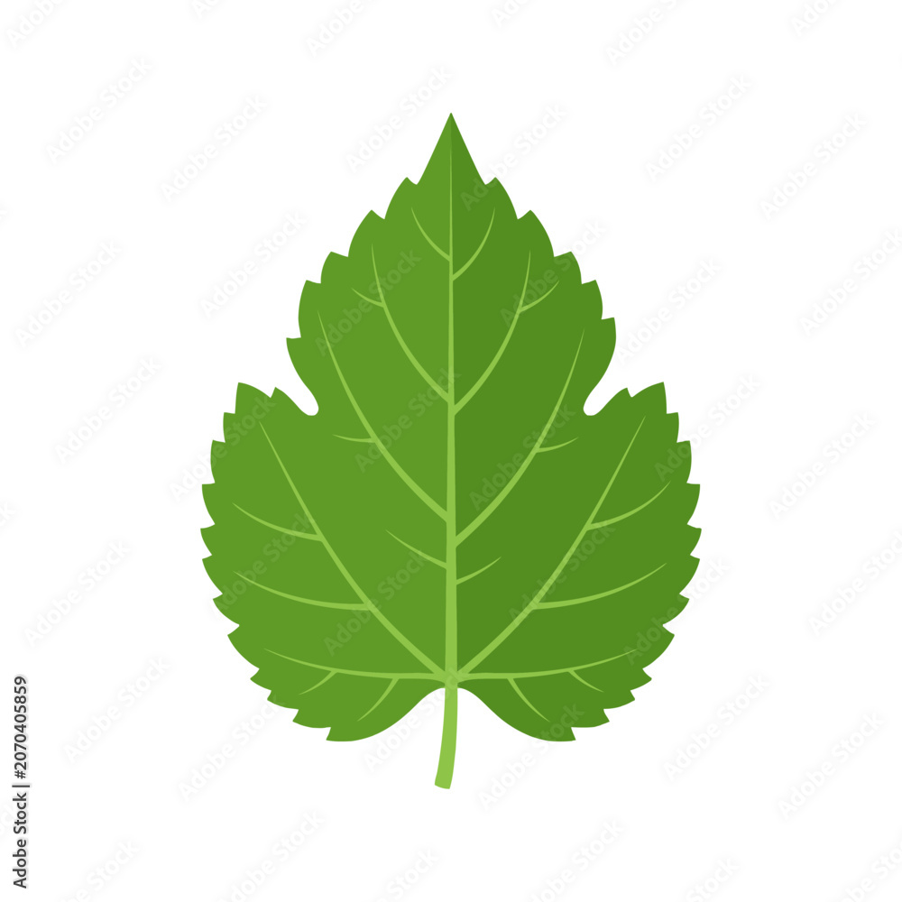 Fototapeta premium A vibrant green leaf silhouette rests on a white background