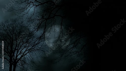 full moon in the dark night sky background