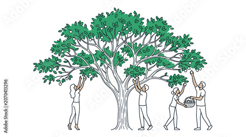 Foto People Harvesting Apples Vector Illustration