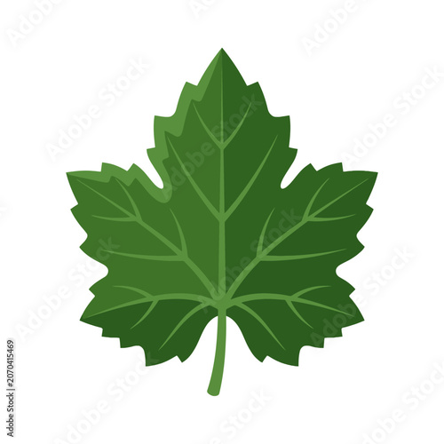 Foto A vibrant green maple leaf rests on a pristine white background