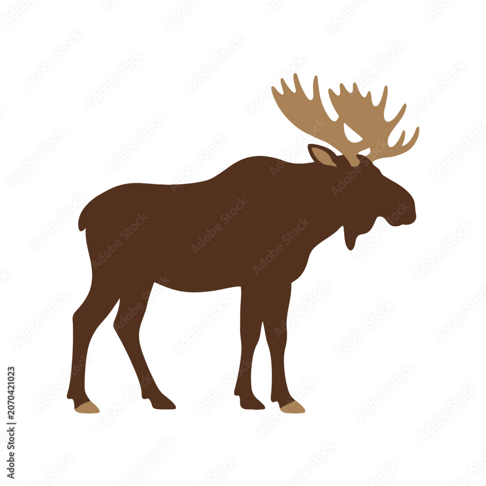 Fototapeta premium A brown moose silhouette with large antlers on white