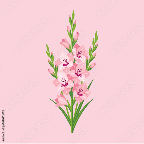 Schilderij op canvas A beautiful pink gladiolus flower illustration on a pink background