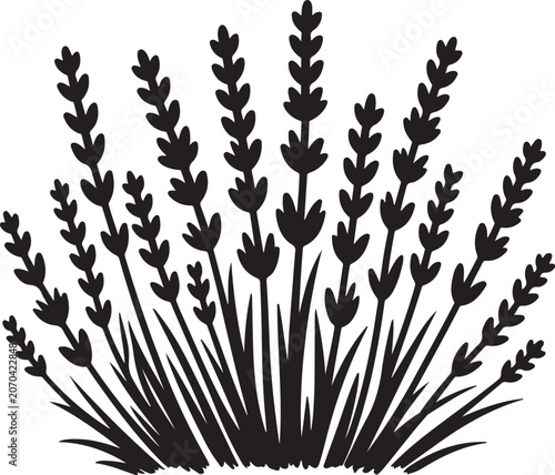 Black, minimalist lavender sprigs, floral vector graphics, botanical icons