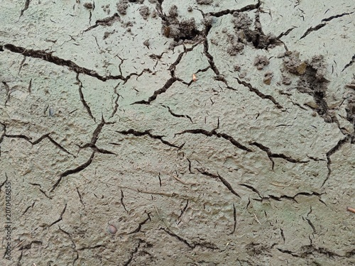 Fotografie Soil with this cracked pattern is often found at the bottom of ponds that are dry due to lack of water