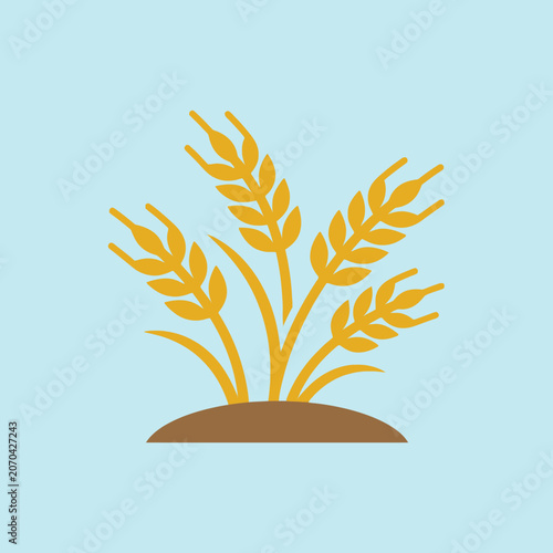 Flat vector illustration of golden wheat stalks in fertile soil