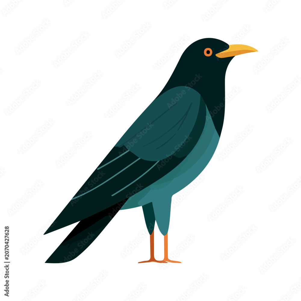 Fototapeta premium Koel, 2D flat vector illustration, simple and modern style, isolated on a plain white background.