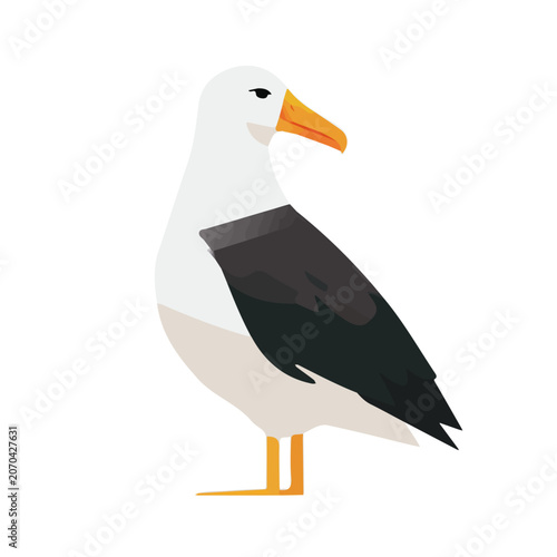 Canvas Print Simple flat 2D vector graphic of Albatross, modern icon look, displayed on a pure white background