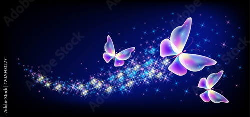 Εκτύπωση καμβά Magic butterflies with sparkle trail flying in night sky among glowing stars in cosmic space