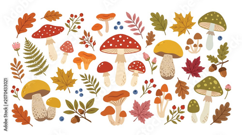 Fotografía Autumn forest mushroom and leaf collection, botanical vector set with fly agaric