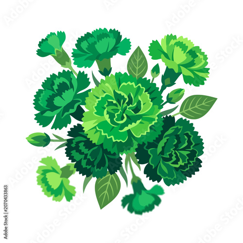 A beautiful bouquet of green carnation flowers on white