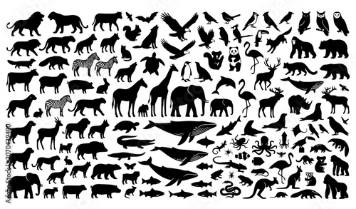 Photography Collection of black animal silhouettes on white background