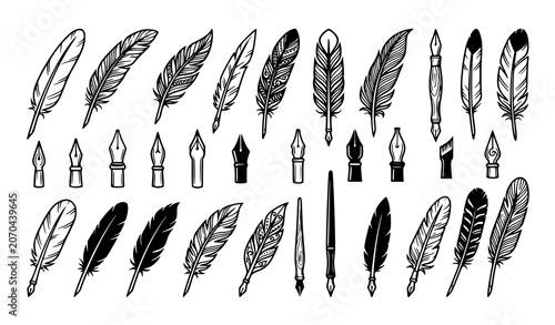 Obraz na plátně Collection of quill pens and feather illustrations