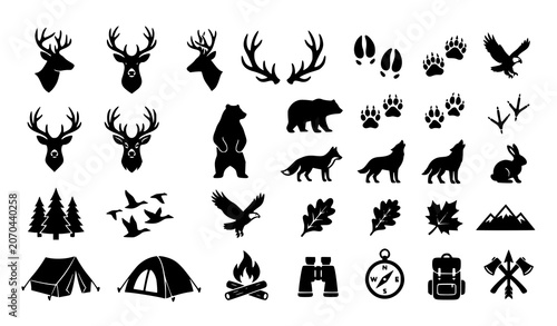 Photography Camping and wildlife icons set