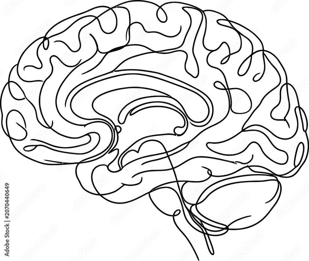 Obraz premium Minimalist continuous line art illustration of human brain.