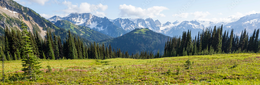 Naklejka premium Mountains in Washington