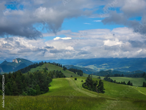 mountain landscape in summer poland pieniny