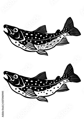 魚イラスト　イワナ　白黒カッティング向けベクター形式　白背景(ベクター及びpngは背景透過)・詳細描写版及びカッティング用簡略化版
